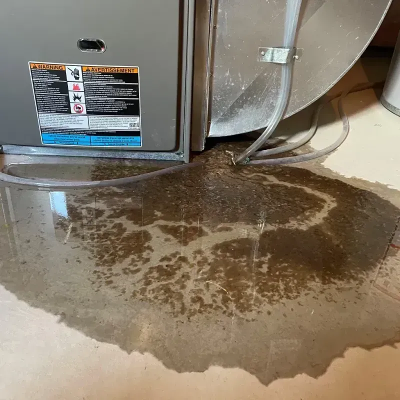 Appliance Leak Cleanup in Gassville, AR